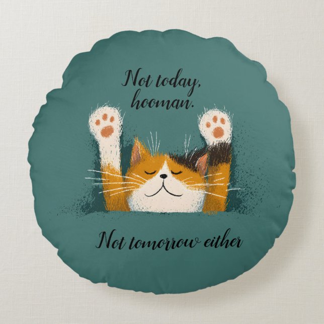 Cute Funny Cat Nap Round Pillow (Front)