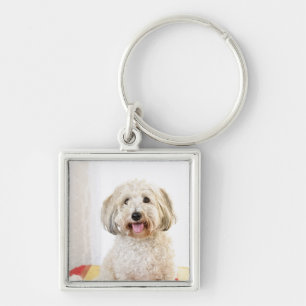 Cute Funny cat Photo Keychain