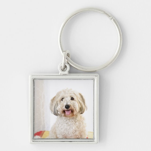 Cute Funny cat Photo Keychain (Front)