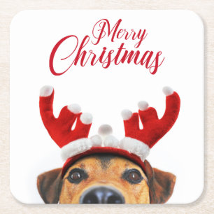 Cute Funny Christmas Dog Reindeer Antler Headband Square Paper Coaster