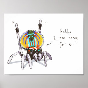 Cute Funny Colourful Peacock Spider Drawing Poster