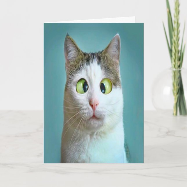 Cute Funny Crazy Cat Birthday Card (Front)