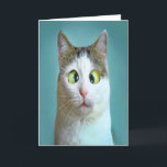 Cute Funny Crazy Cat Birthday Card<br><div class="desc">Cute Funny Crazy Cat Birthday Card by THEORY OF HUMOR Greeting Card.</div>