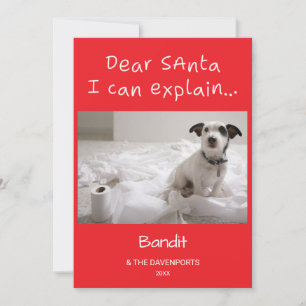 Cute Funny Dear Santa I Can Explain Pet Photo Holiday Card