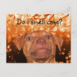 Cute funny dog birthday postcard