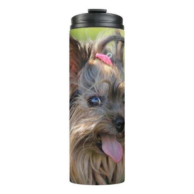 Cute & Funny Dog custom text tumbler (Front)