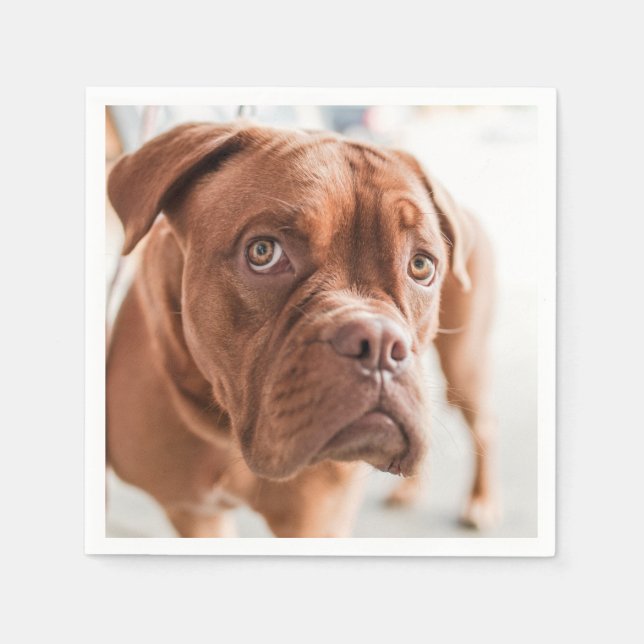 Cute & Funny Dog paper napkins (Front)