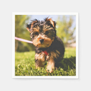 Cute & Funny Dog paper napkins