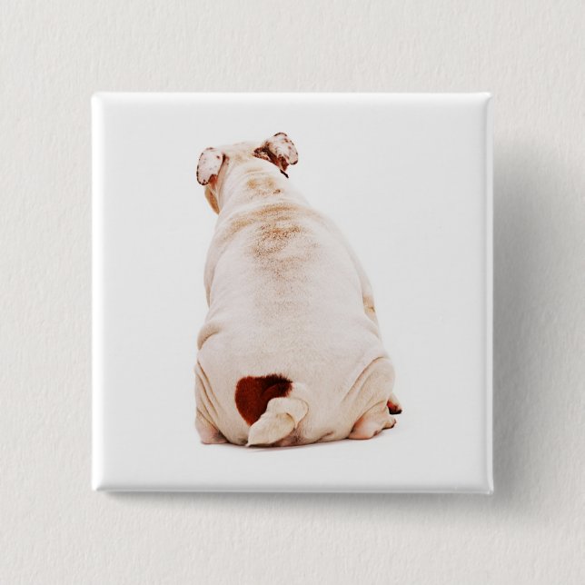 Cute funny dog white Bulldog 2 Inch Square Button (Front)