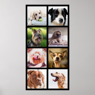 Cute & Funny Dogs Photo Collage Poster 2
