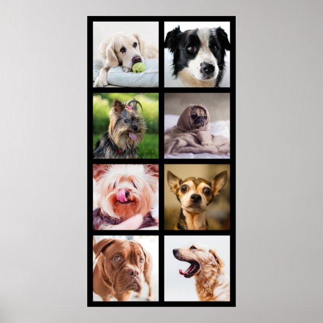 Cute & Funny Dogs Photo Collage Poster 2 (Front)