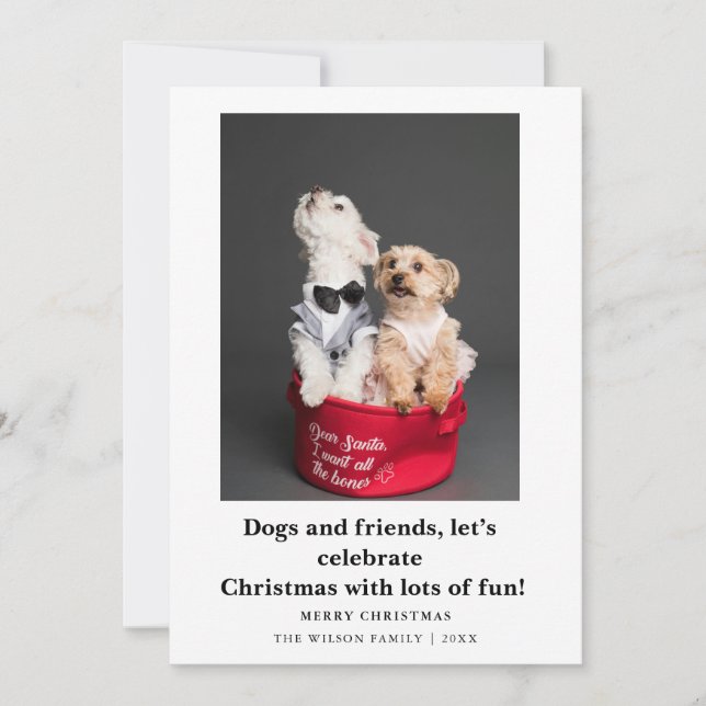 Cute Funny Dogs Saying Christmas Holiday Card  (Front)