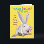 Cute Funny Easter Pig With Bunny Ears Photo Card<br><div class="desc">This adorable pig with fake bunny ears is admitting he's not the Easter Bunny. He's also admitting that the chocolate eggs he hid, are not chocolate (if you know what I mean). Cute and fun Easter card for anyone who loves animals and has a sense of humour.</div>