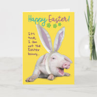 Cute Funny Easter Pig With Bunny Ears Photo