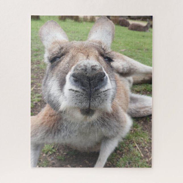 Cute Funny Face Kangaroo Educational Animal Photo Jigsaw Puzzle (Vertical)