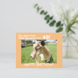 Cute Funny Goat Humour Custom Birthday Postcard<br><div class="desc">Cute goat in a lush green pasture looks out from the card at you and sends her funny birthday humour "You don't look that baaaaa'd for "Your Birthdate Year"! Back of postcard says "Just Kidding... .You look fabulous and I hope you have the best Birthday ever!" or customize with your...</div>