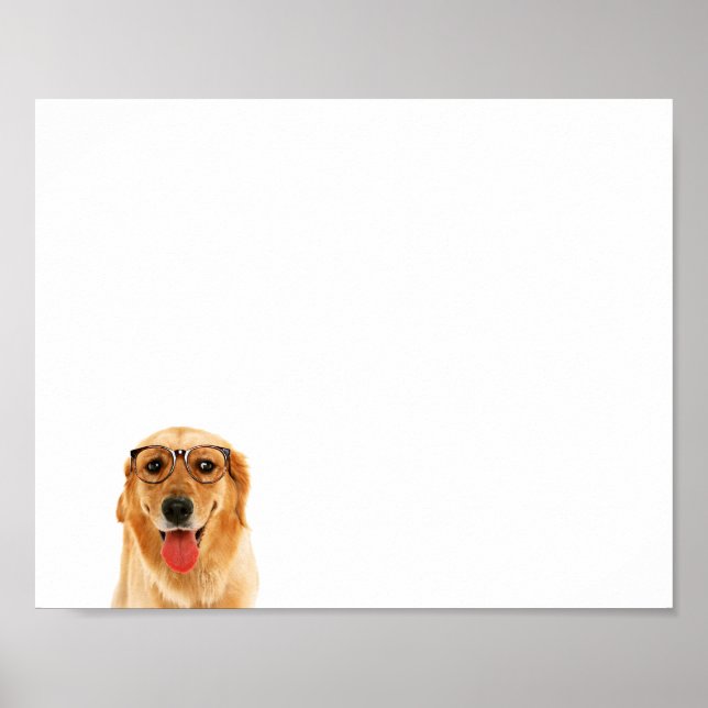 Cute funny Golden Retriever dog  Poster (Front)