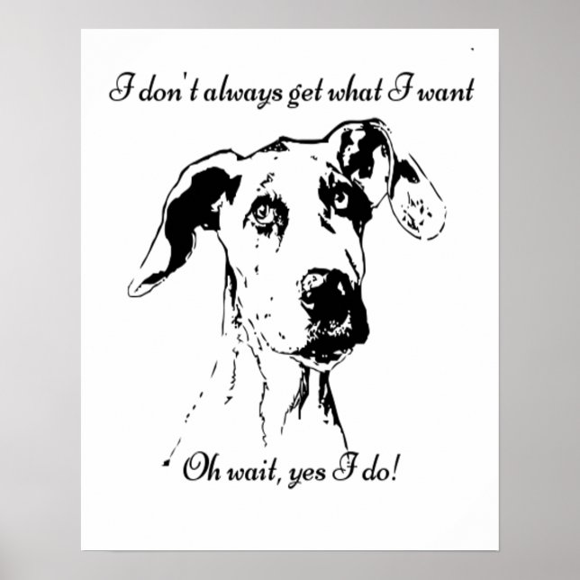 Cute Funny Great Dane Dog Quote  Spoiled Pet Humou Poster (Front)