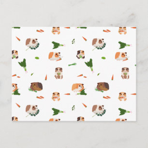 Cute Funny Guinea Pigs Pet Pattern Postcard