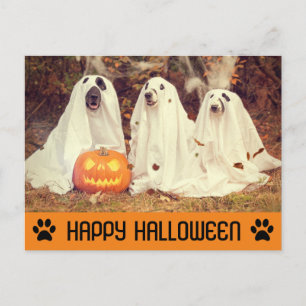 Cute Funny Halloween Ghost Dog Postcard