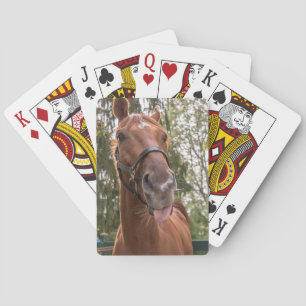 Cute Funny Horse Photograph Playing Cards