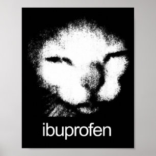 Cute Funny Ibuprofen Cat Kitten Meme Graphic Pet Poster
