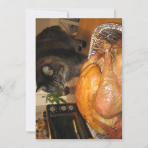 Cute Funny Maine Coon Kitty Cat Happy Thanksgiving