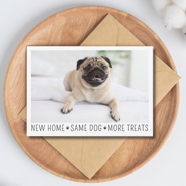 Cute Funny Modern New Home Photo Pet Dog Postcard (Creator Uploaded)