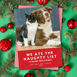 Cute Funny Naughty List Pet Photo Christmas Red Holiday Card