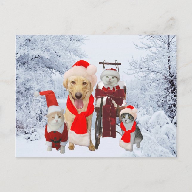 Cute/Funny Pet Business Holiday Client Post Card (Front)