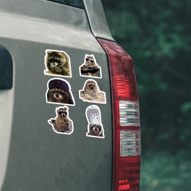 Cute/funny Raccoon tiktok meme pack sticker bundle (Creator Uploaded)