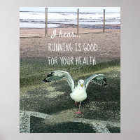 Cute Funny Seagull Running Is Good For Your Health