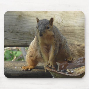 Cute funny Squirrel Computer Mouse Pad