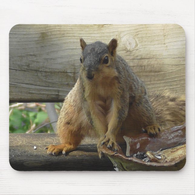 Cute funny Squirrel Computer Mouse Pad (Front)