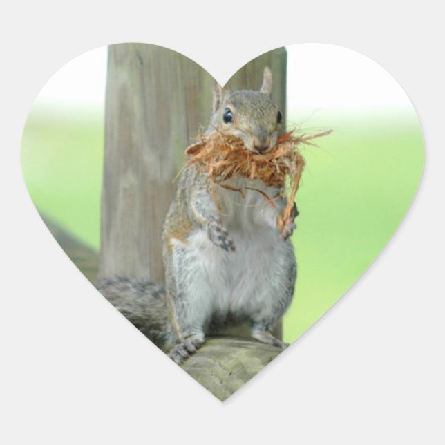 Cute Funny Squirrel Stickers (Front)