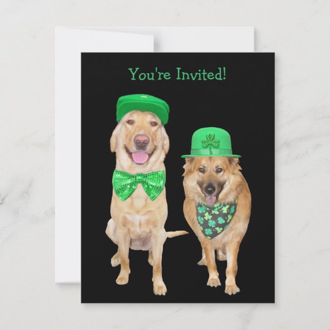 Cute, Funny St. Patrick's Day Irish Dogs Invitation (Front)