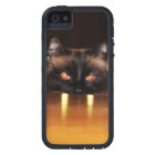 Cute, funny, vampire cat