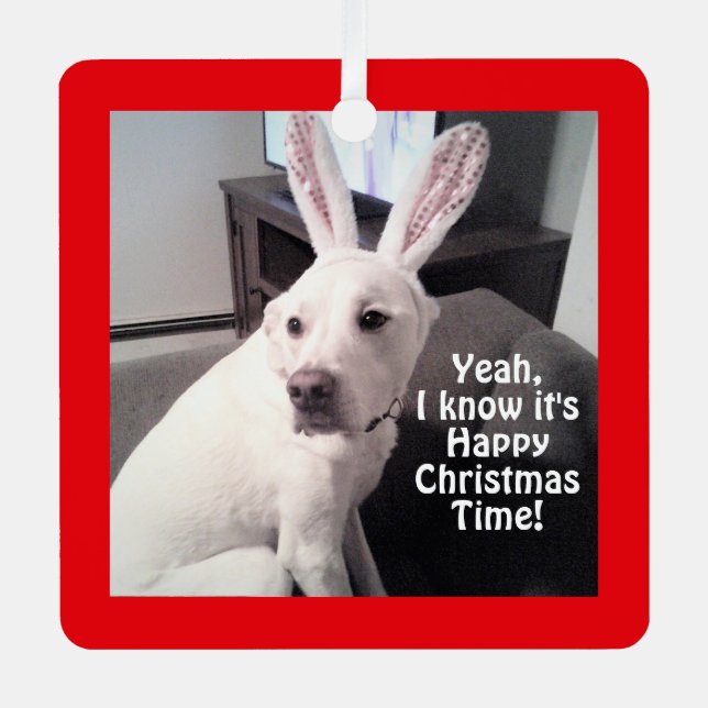 Cute funny White Dog Wearing Bunny Ears Christmas Metal Ornament (Front)