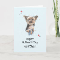 Cute funny Yorkshire Terrier, Yorkie Mother’s day