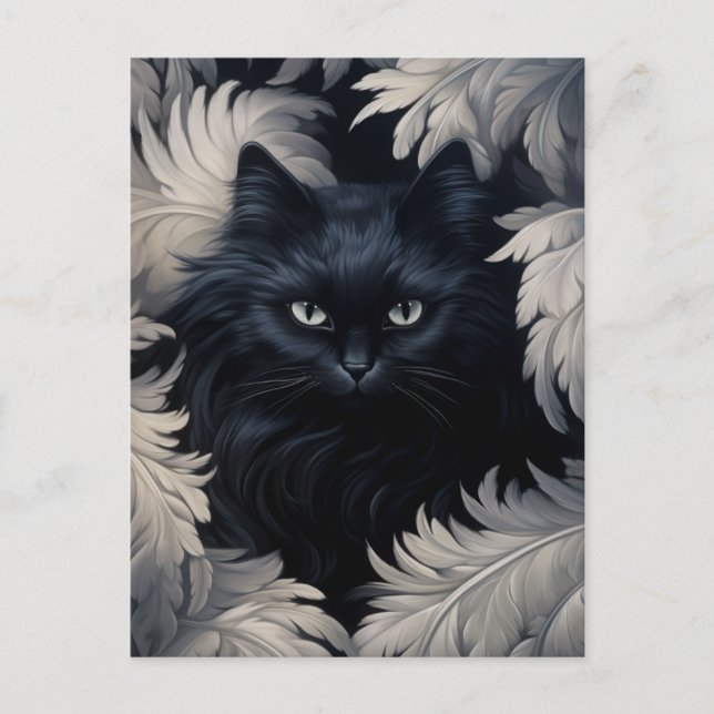 Cute Furry Black Cat Surrounded By White Feathers Postcard (Front)