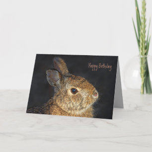 Cute Furry Bunny Rabbit in Sunlight Card