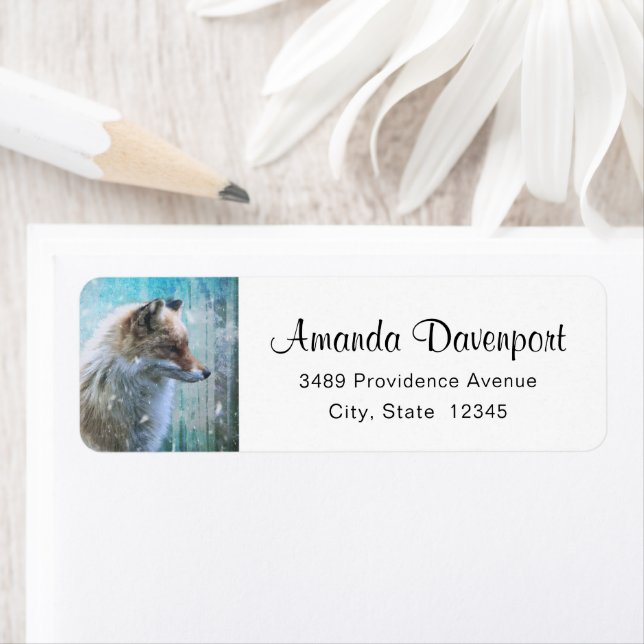Cute Furry Fox on Blue Grunge Background Address (Insitu)