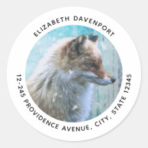 Cute Furry Fox on Blue Grunge Background Address