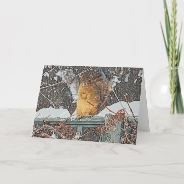 "CUTE, FURRY SQUIRREL" BLANK GREETING CARD (Front)