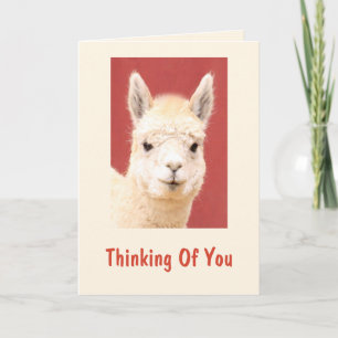 Cute Fuzzy Llama Get Well Card