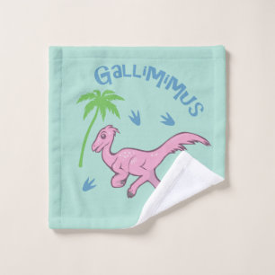 Cute Gallimimus Wash Cloth