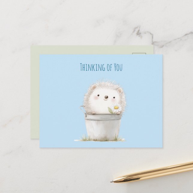 Cute Garden Hedgehog Thinking of you Postcard (Front/Back In Situ)