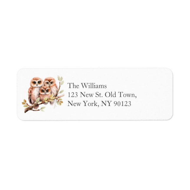 Cute Gender Neutral Owl Baby Shower  (Front)