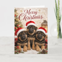 Cute German Shepherd Puppies Merry Christmas