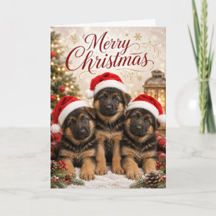 Cute German Shepherd Puppies Merry Christmas Card